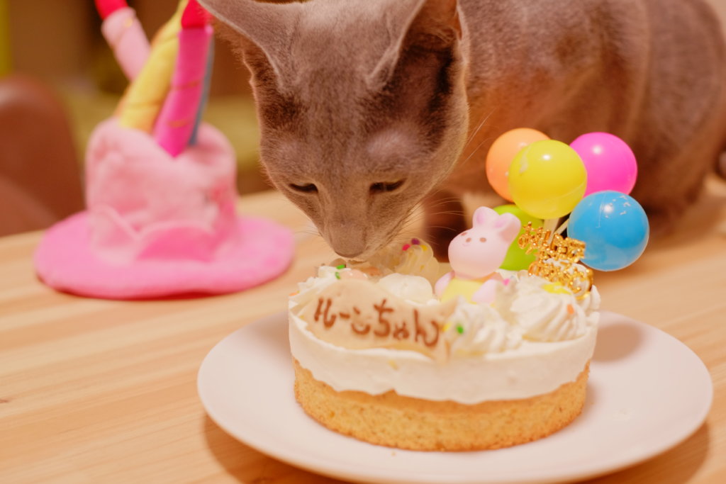 猫　バースデーケーキ おすすめ
