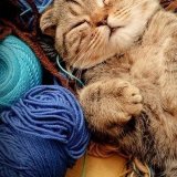 猫　羊毛フェルト　作り方