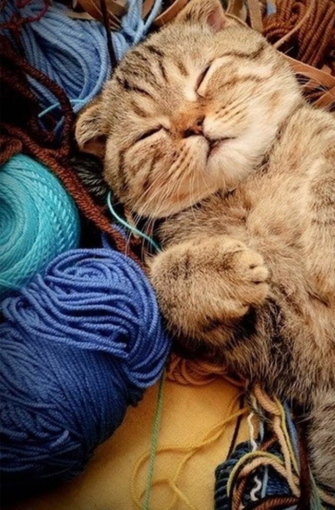 猫　羊毛フェルト　作り方