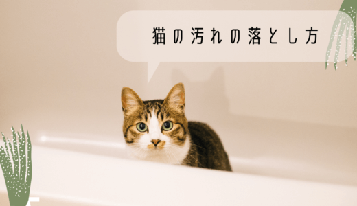 部位別│猫の汚れの落とし方とおすすめのシャンプー│お風呂嫌いな猫向けの方法も