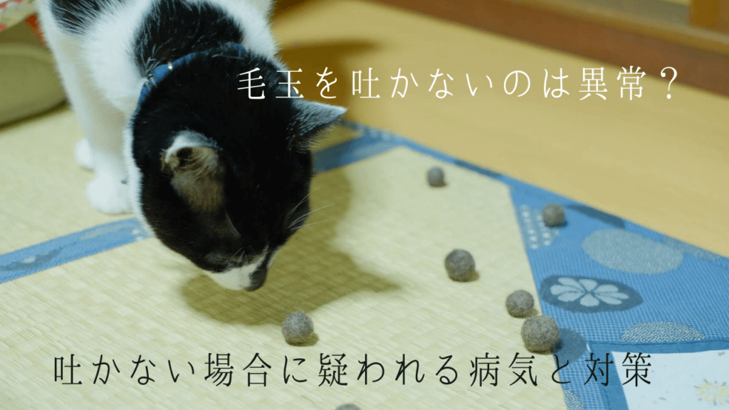 うちの猫が毛玉を吐かないのは異常 吐かない場合に疑われる病気と対策 ゆきちのすゝめ